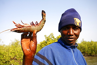 Crab fisherman in Zinguinchor