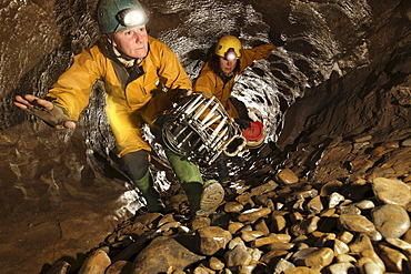 The Underworld - Photographs from caves all over the world