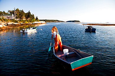 A woman paddles her boat in a small harbor at sunset after she's been collecting lobster from underwater traps off the coast.