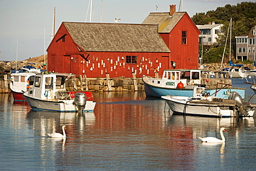 The famous Motif No. 1 is the focalpoint of the Rockport, Mass harbor.