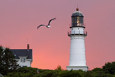 Coastal life in Maine.