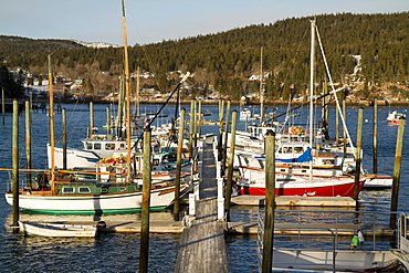 Coastal life in Maine.