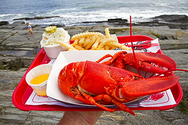 Coastal life in Maine.