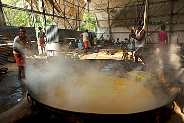 Preparing of food for devotees taking part in Navadvipa Mandala Parikrama festival in Mayapur, India.