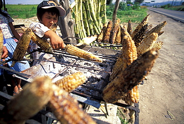 A young boy grills corn to sell by the road outside of Guadalajara, Mexico.