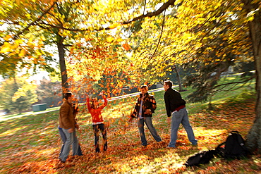 A young group of college students throw a bunch of fall leaves into the air and enjoy themselves in the October weather.