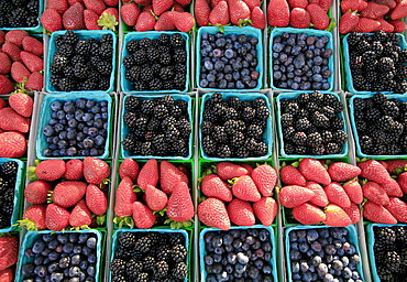 Blackberries, strawberries, blueberries at Farmer's market.