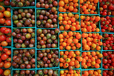 Small, tasty tomatoes at farmer's market