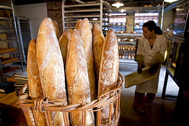 Standard Bread in Portland, Maine