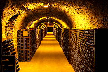 Chamgagne caves in Cote des Blancs, Champagne, France.