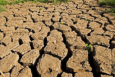 A drought is an extended period of months, or years, when a region notes a deficiency in its water supply. Generally, this occurs when a region receives consistently below average precipitation. It can have a substantial impact on the ecosystem and agriculture of the affected region.