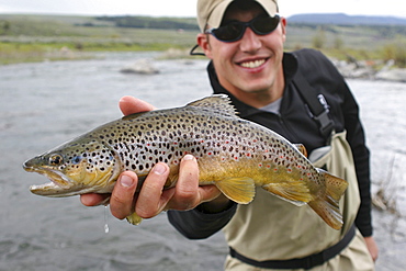 Brett Seng hods out a Rainbow Trout caught on the Madison river in Montana.