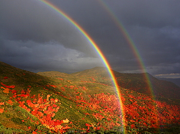 A double rainbow over fall foliage in Wasatch Mountain State Park near Heber City, UT