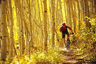 Man fall mountain biking in Park City, Utah.