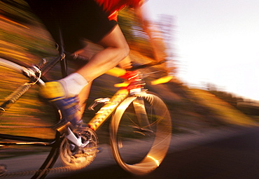 A road cyclist on a road in the Cascade Mountains of Washington.