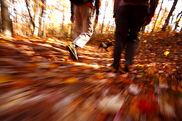 A low-angle, blur-motion image of hikers in an autumn forest in North Carolina.