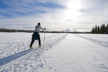 A young man cross country skis on a snowy trail in Safari Lake, Alaska.