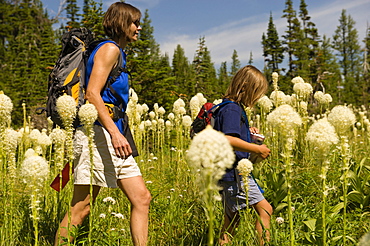 A mom and daughter hike among blooming bear grass.