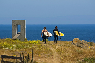 Two male surfers wearing wetsuits walking down a dirt  path with surfboards to surf Punta de Lobos, Pichilemu, Chile.