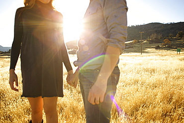 Couple hold hands in an open field. (backlit)