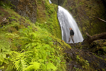 Multnomah Falls area, Columbia River Gorge, Oregon