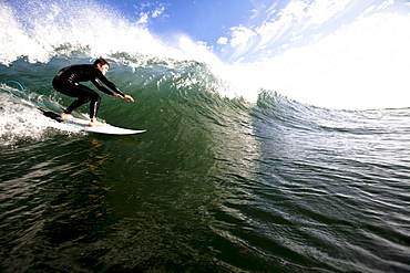 A male surfer does a bottom turn while surfing in Malibu.