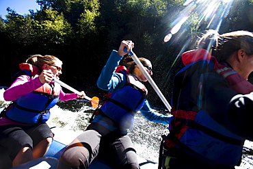 A group of adults whitewater rafting in Maine.