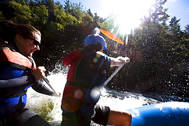 A group of adults whitewater rafting in Maine.