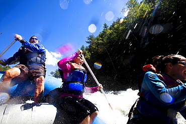 A group of adults whitewater rafting in Maine.