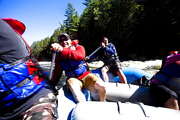 A group of adults whitewater rafting in Maine.