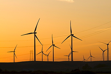 Wind turbines and power transmission lines at sunset near San Francisco