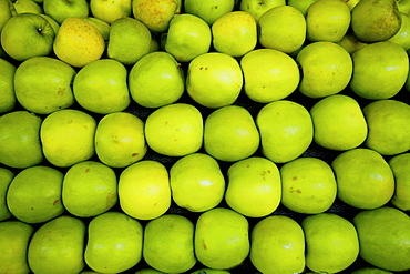 Green pears lay in a pile at a fruit stand in Maryland, USA.