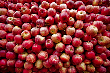 Red apples lay in a pile at a fruit stand in Maryland, USA.