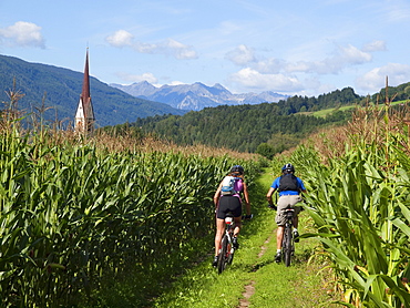 Two mountain bikers are riding between corn fields in the Pustertal, with a church in the background.