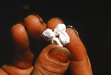 Coca paste at a jungle lab along the Vaupes River in Columbia.