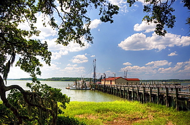 Shrimp boats are docked at the end of a pier on the Intracoastal Waterway on Hilton Head Island, SC.