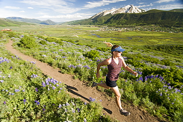 A woman trail running past wildflowers on the Lupine Trail in Crested Butte, Colorado.