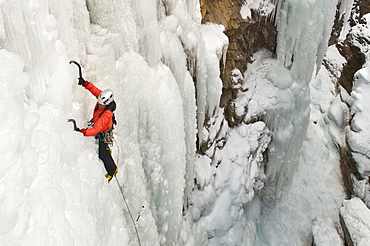 A woman ice climbing up a vertical wall in the Ouray Ice Park, Ouray, Colorado.