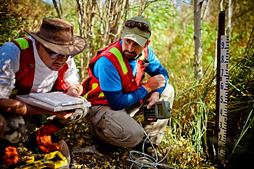 Field Research, Logan Lake, British Columbia, Canada