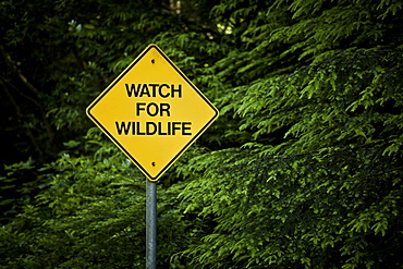 Roadsigns, Vancouver, British Columbia, Canada