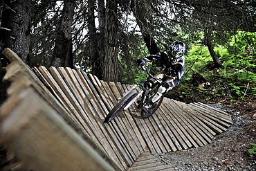 Downhill mountain biker rides the Big Spruce Trail at Alyeska Resort in Girdwood, Alaska June 2011.