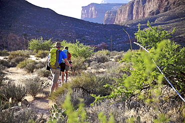 Hikers climb out of Surprise Valley to the North Rim of the Grand Canyon outside of Fredonia, Arizona November 2011.  The 21.4-mile loop starts at the Bill Hall trailhead on the North Rim and descends 2000-feet in 2.5-miles through Coconino Sandstone to the level Esplanada then descends further into the lower canyon through a break in the 400-foot-tall Redwall to access Surprise Valley.  Hikers connect Thunder River and Tapeats Creek to a route along the Colorado River and climb out Deer Creek.