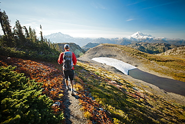 A hiker walks along a trail in North Cascades National Park, North Cascades National Park, Washington, United States