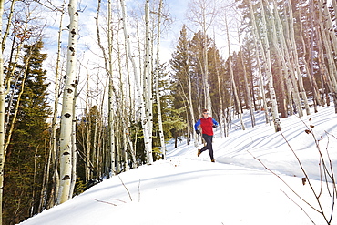 Adult male trail running through a snow covered trail high in the mountains above Telluride Colorado on a beautiful spring afternoon, Telluride, Co, USA