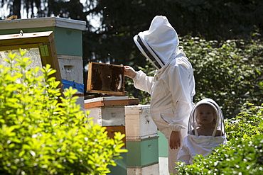 Mother and daughter beekeepers in beekeeping suits checking beehives, Huntingdon Valley, Pennsylvania, United States