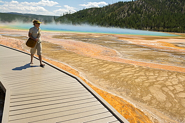 A woman hiking along the boardwalk next to the Grand Prismatic Springs , a thermal hot spring in Yellowstone National Park, Wyoming, Yellowstone, Wyoming, usa