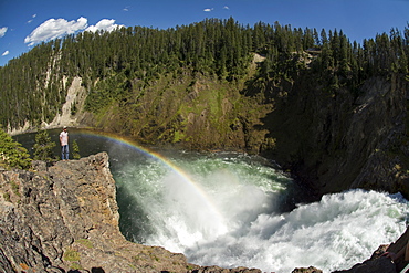 A man standing on a rocky point below a rainbow and next to the Upper Falls of the Yellowstone River in Yellowstone National Park, Wyoming, Yellowstone, Wyoming, usa