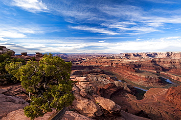 Early morning sunrise at Deadhorse Point overlook at Deadhorse State Park, UT, Moab, Utah, USA