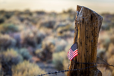 US Flag stuck in old log fence post with barb wire on lower Summer Meadows Road, CA, Bridgeport, California, USA