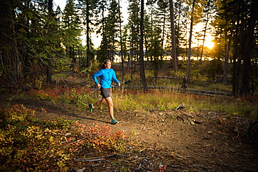 Female trail runner on the HuckleBerry Bay Trail at sunset in Ponderosa State Park, McCall, Idaho, McCall, ID, USA